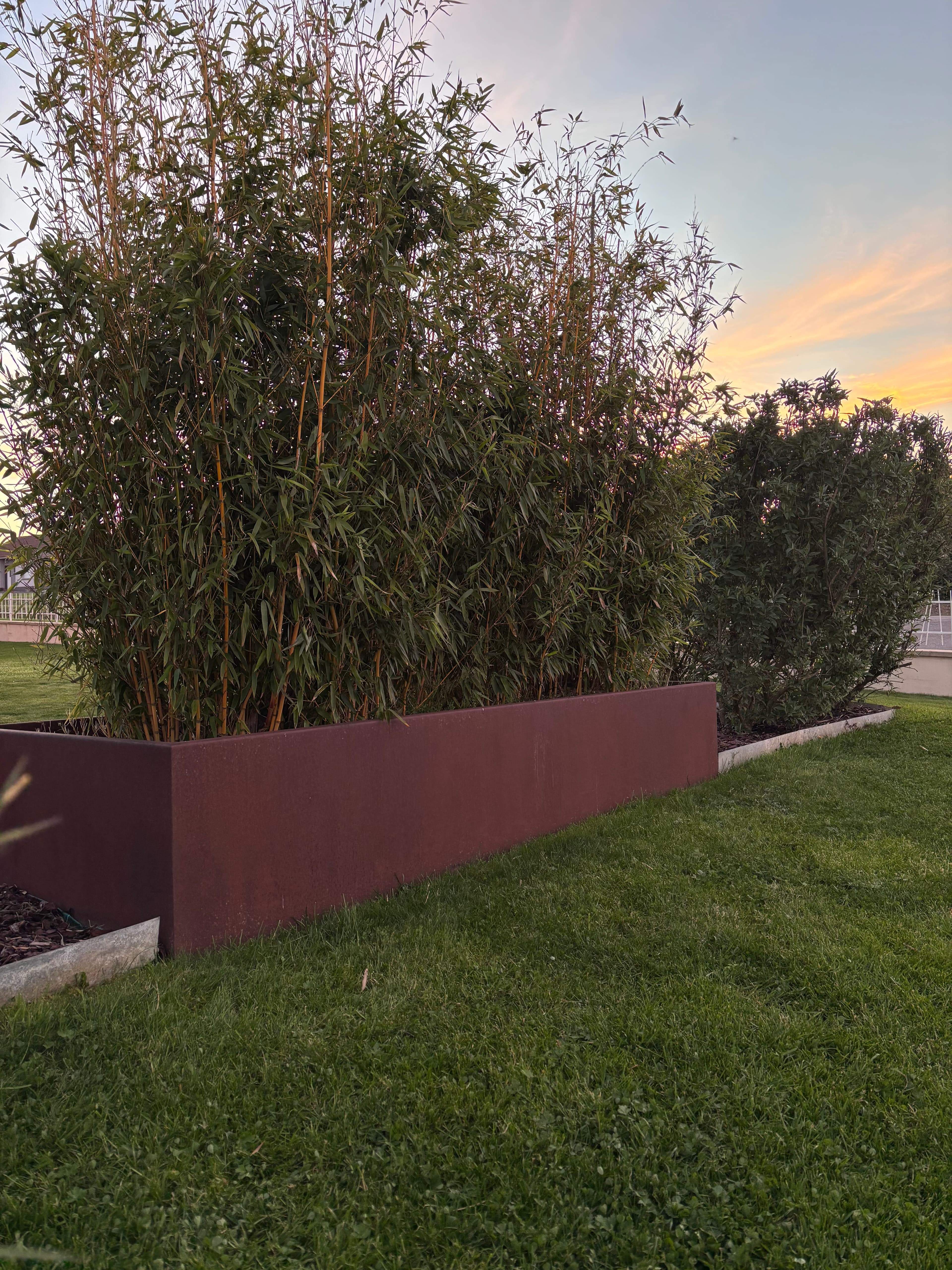 Bordures acier corten dans un jardin contemporain