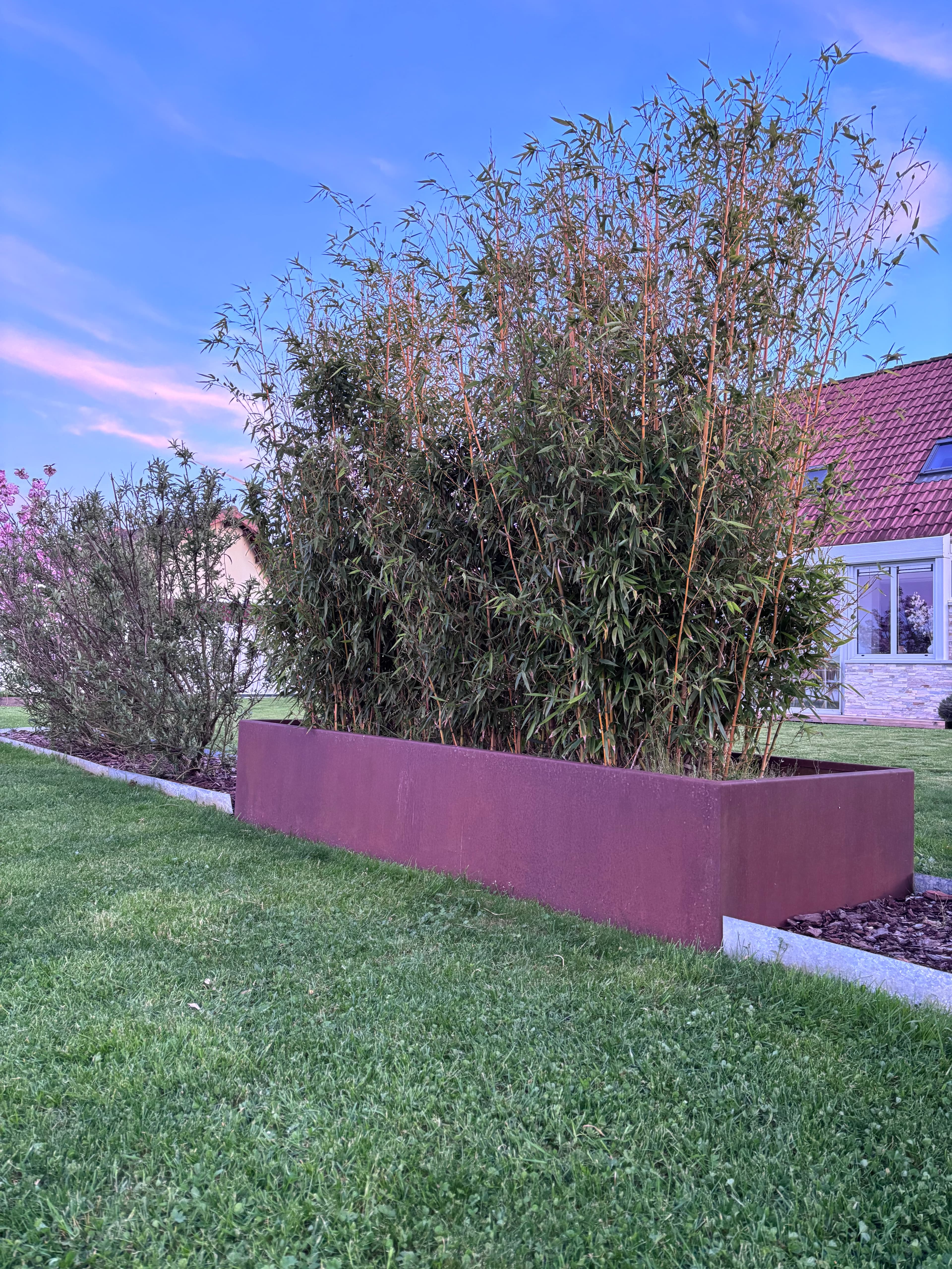 Bacs et structures acier sur une terrasse